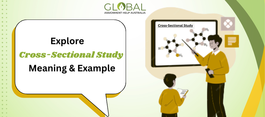 Cross-Sectional Study Explained: Key Features, Example & Benefits