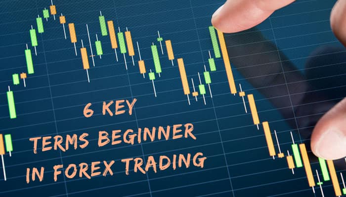 6 Useful Terms About Forex Trading That Beginner Should Know