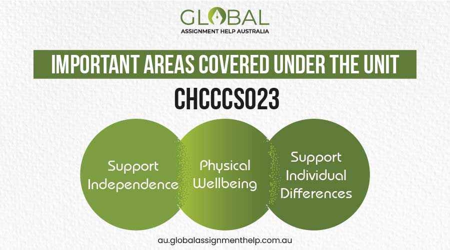 Important Areas covered Under assessment