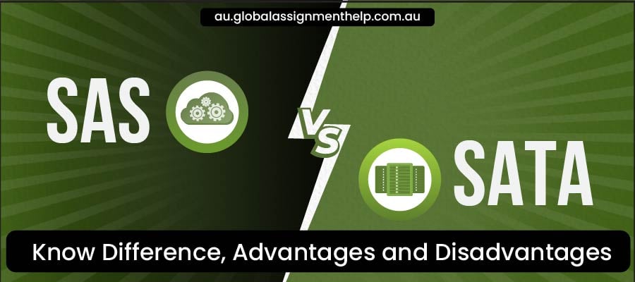 Knowledge on SAS vs SATA by Global Assignment Help Australia